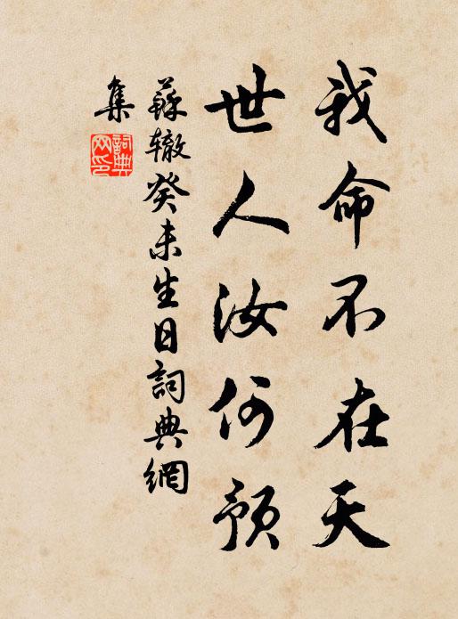 苏辙我命不在天，世人汝何预书法作品欣赏
