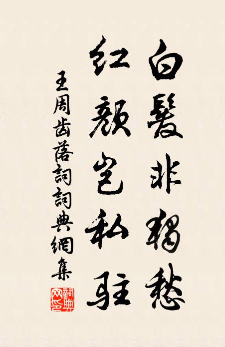王周白发非独愁，红颜岂私驻书法作品欣赏
