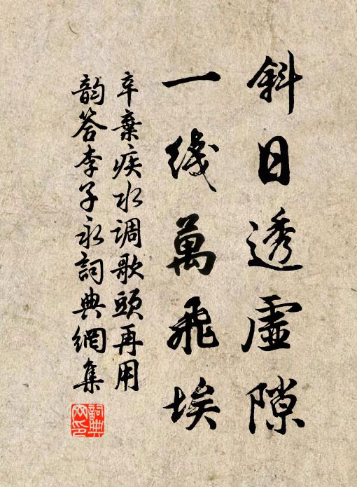 辛弃疾斜日透虚隙，一线万飞埃书法作品欣赏