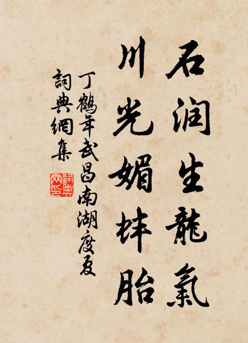 丁鹤年石润生龙气，川光媚蚌胎书法作品欣赏