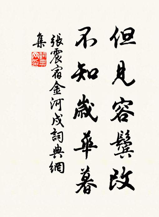张震但见容鬓改，不知岁华暮书法作品欣赏
