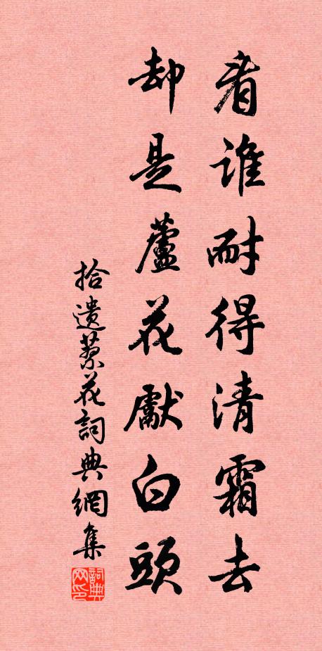 拾遗看谁耐得清霜去，却是芦花先白头书法作品欣赏