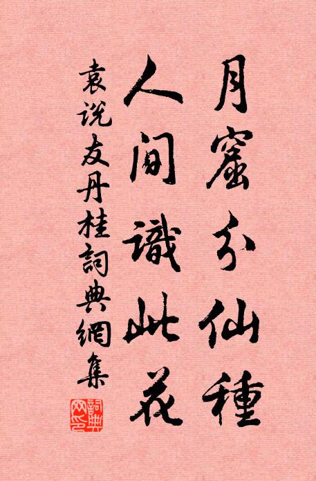 袁说友月窟分仙种，人间识此花书法作品欣赏