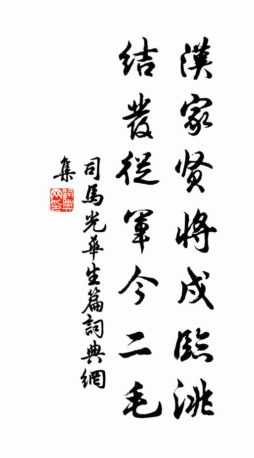 司马光汉家贤将戍临洮，结发从军今二毛书法作品欣赏