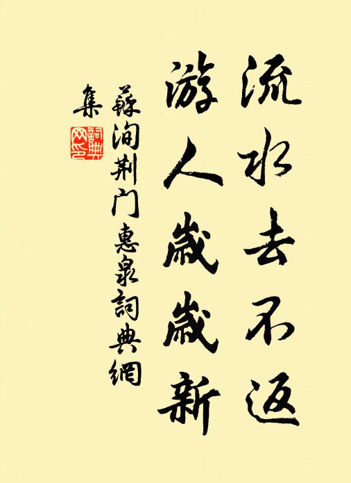 苏洵流水去不返，游人岁岁新书法作品欣赏