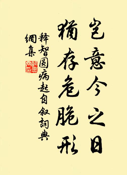 释智圆岂意今之日,犹存危脆形书法作品欣赏