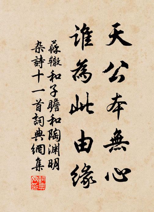 苏辙天公本无心，谁为此由缘书法作品欣赏