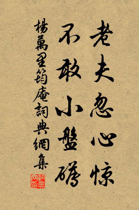 杨万里老夫忽心惊，不敢小盘礡书法作品欣赏