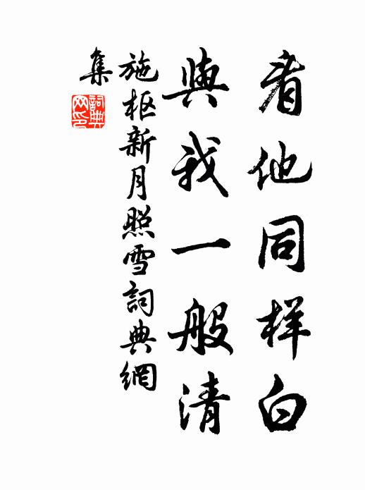 施枢看他同样白，与我一般清书法作品欣赏