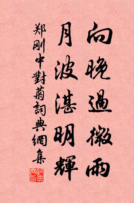 郑刚中向晚过微雨，月波湛明辉书法作品欣赏