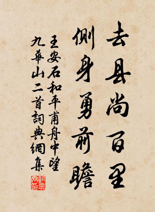 王安石去县尚百里，侧身勇前瞻书法作品欣赏