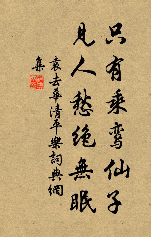 袁去华只有乘鸾仙子，见人愁绝无眠书法作品欣赏