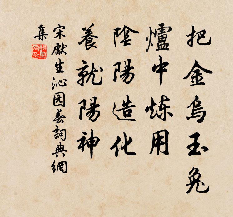 宋先生把金乌玉兔，炉中炼用，阴阳造化，养就阳神书法作品欣赏