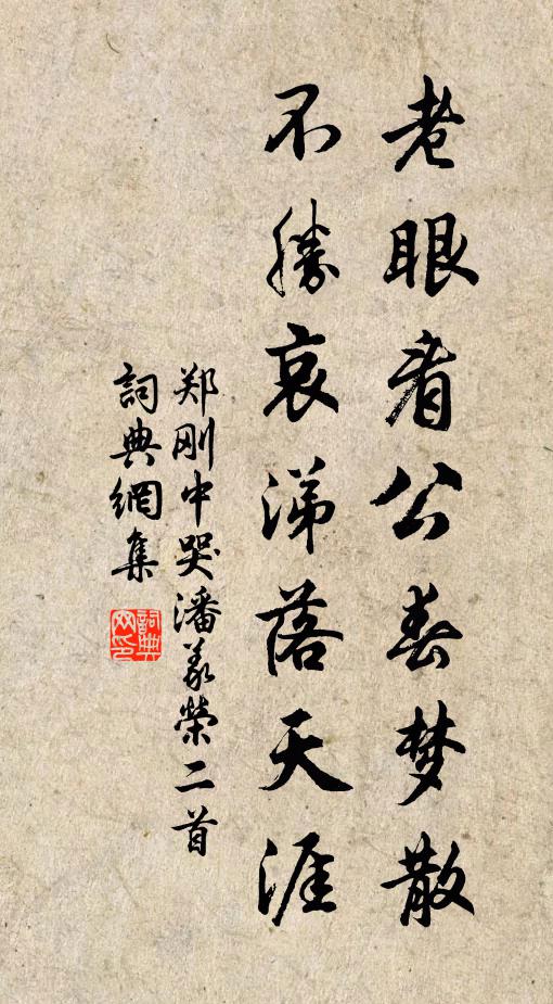 郑刚中老眼看公春梦散，不胜哀涕落天涯书法作品欣赏