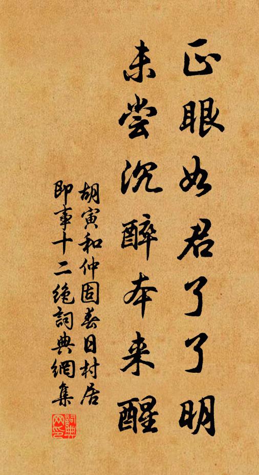 胡寅正眼如君了了明，未尝沉醉本来醒书法作品欣赏