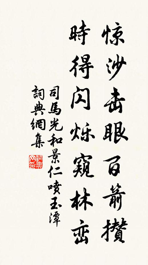 司马光惊沙击眼百箭攒，时得闪烁窥林峦书法作品欣赏