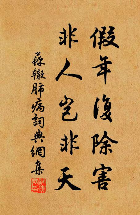 苏辙假年复除害，非人岂非天书法作品欣赏