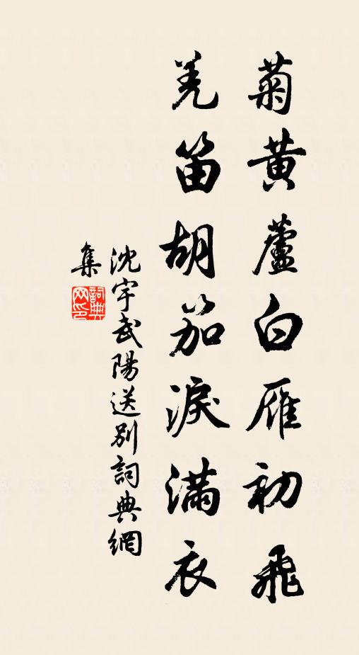 沈宇菊黄芦白雁初飞，羌笛胡笳泪满衣书法作品欣赏