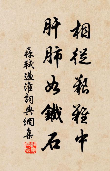 苏轼相从艰难中，肝肺如铁石书法作品欣赏