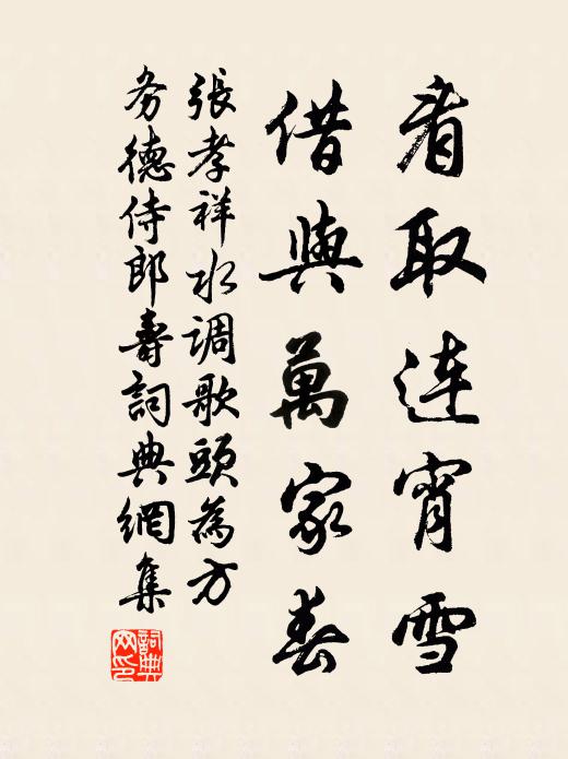 张孝祥看取连宵雪，借与万家春书法作品欣赏