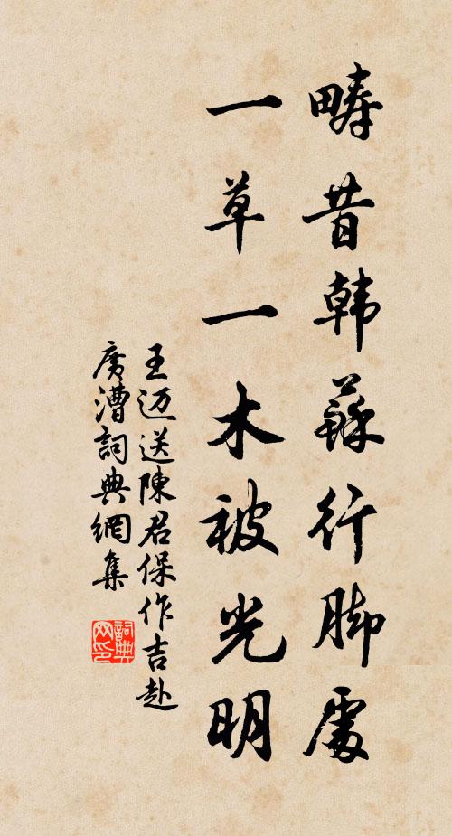 王迈畴昔韩苏行脚处，一草一木被光明书法作品欣赏