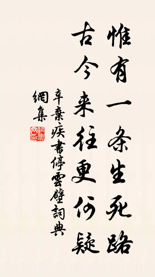 辛弃疾惟有一条生死路，古今来往更何疑书法作品欣赏
