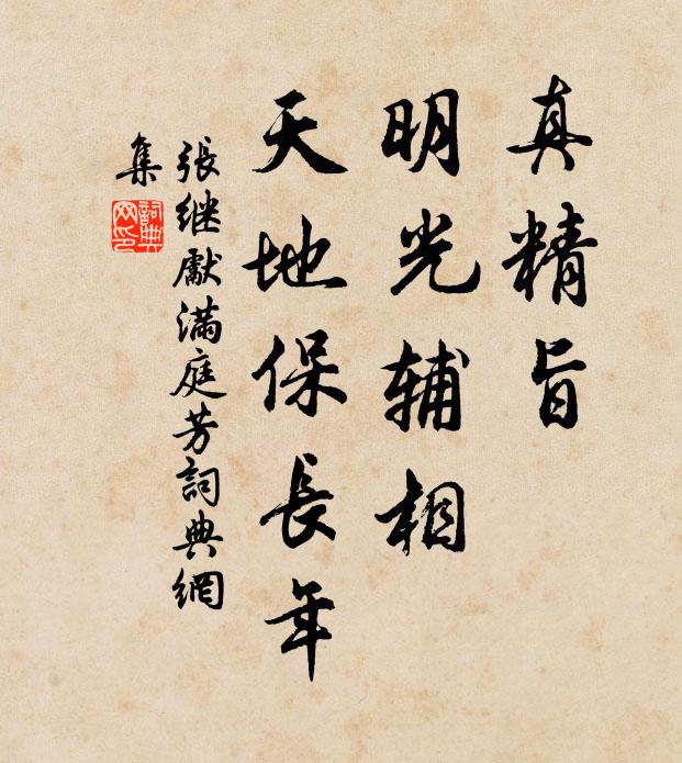 张继先真精旨，明光辅相，天地保长年书法作品欣赏