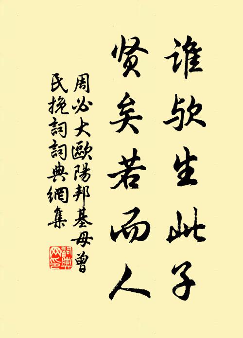 周必大谁欤生此子，贤矣若而人书法作品欣赏
