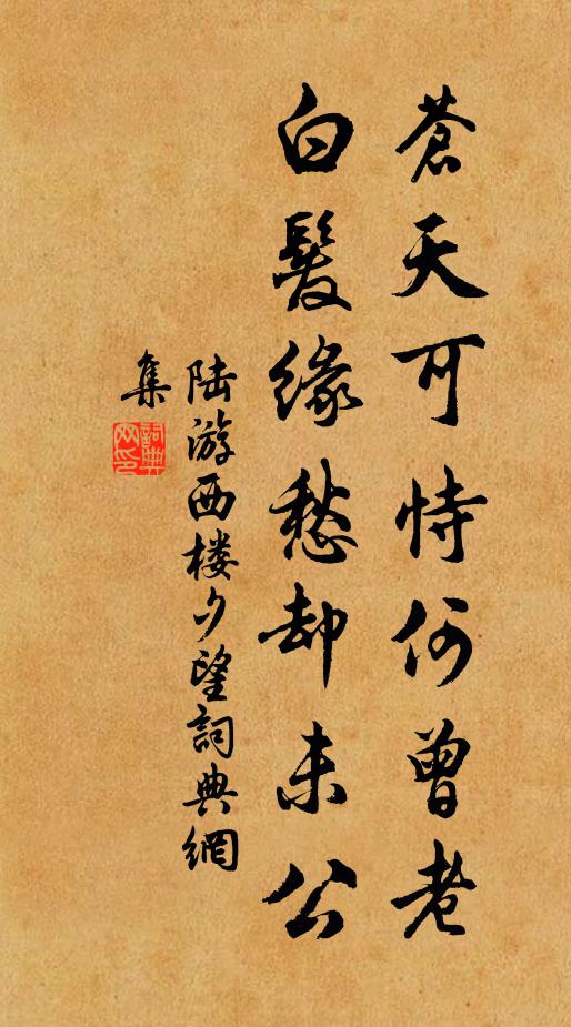 陆游苍天可恃何曾老，白发缘愁却未公书法作品欣赏