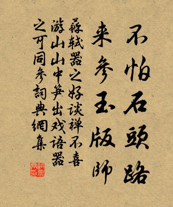 苏轼不怕石头路，来参玉版师书法作品欣赏