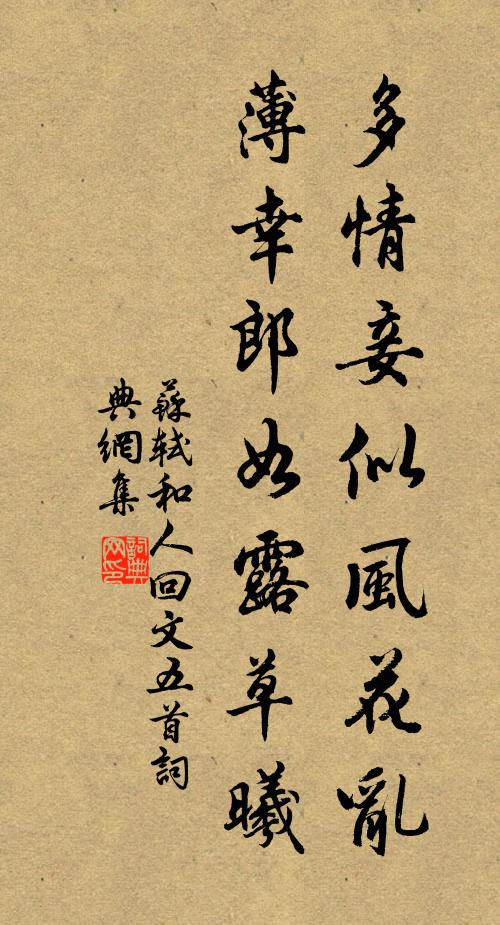 苏轼多情妾似风花乱，薄幸郎如露草曦书法作品欣赏