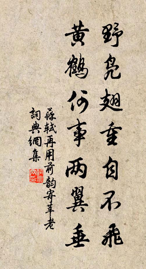 苏轼野凫翅重自不飞，黄鹤何事两翼垂书法作品欣赏