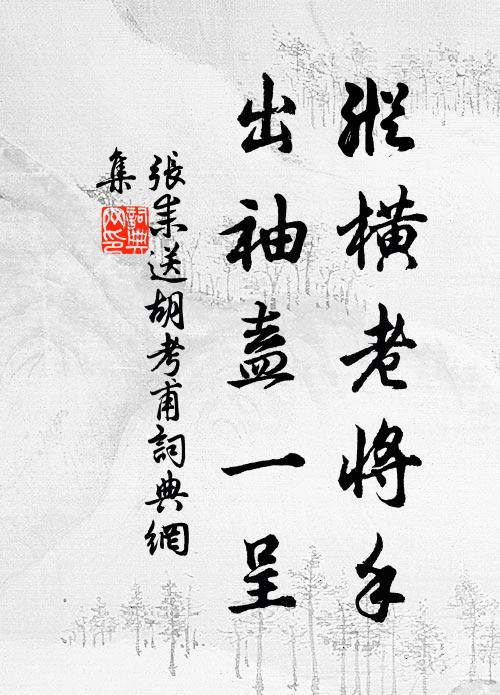张耒纵横老将手，出袖盍一呈书法作品欣赏