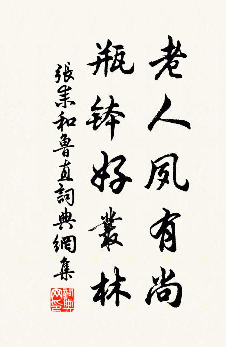 张耒老人夙有尚，瓶钵好丛林书法作品欣赏
