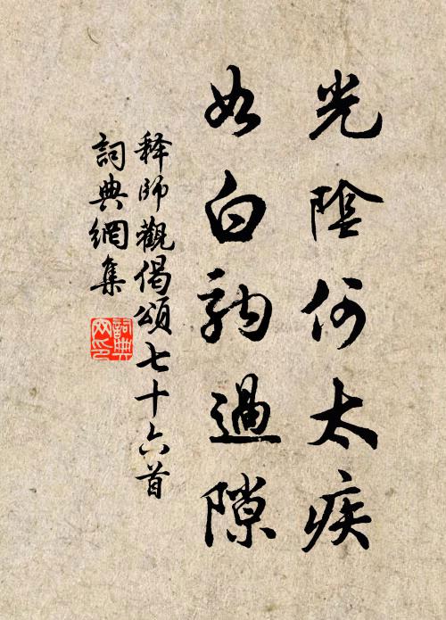释师观光阴何太疾，如白驹过隙书法作品欣赏