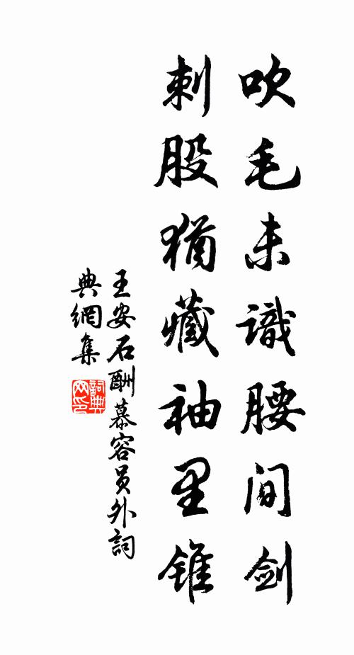 王安石吹毛未识腰间剑，刺股犹藏袖里锥书法作品欣赏