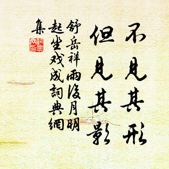 舒岳祥不见其形，但见其影书法作品欣赏
