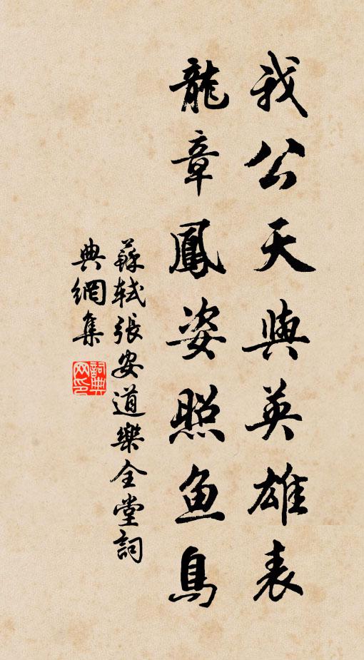 苏轼我公天与英雄表，龙章凤姿照鱼鸟书法作品欣赏