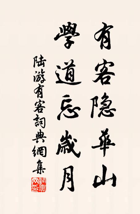 陆游有客隐华山，学道忘岁月书法作品欣赏