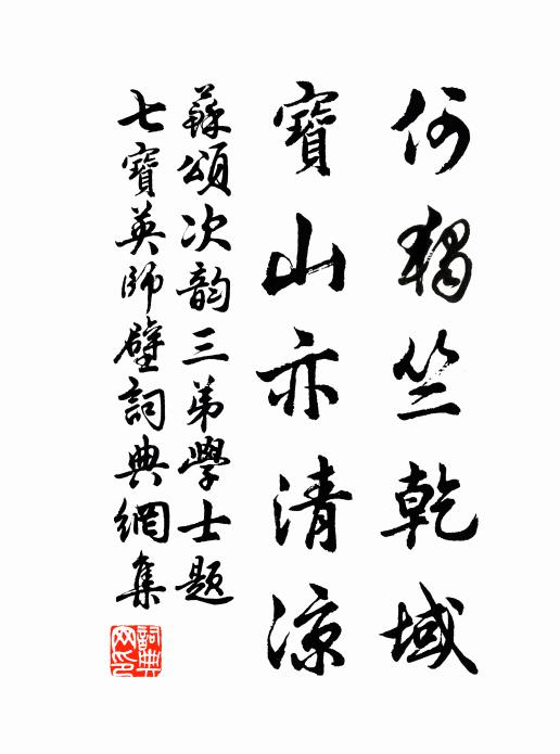 苏颂何独竺乾域，宝山亦清凉书法作品欣赏