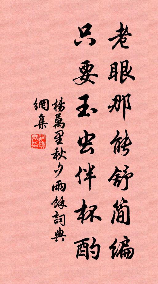 杨万里老眼那能舒简编，只要玉虫伴杯酌书法作品欣赏