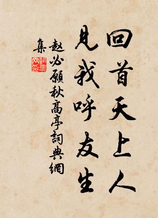 赵必愿回首天上人，见我呼友生书法作品欣赏