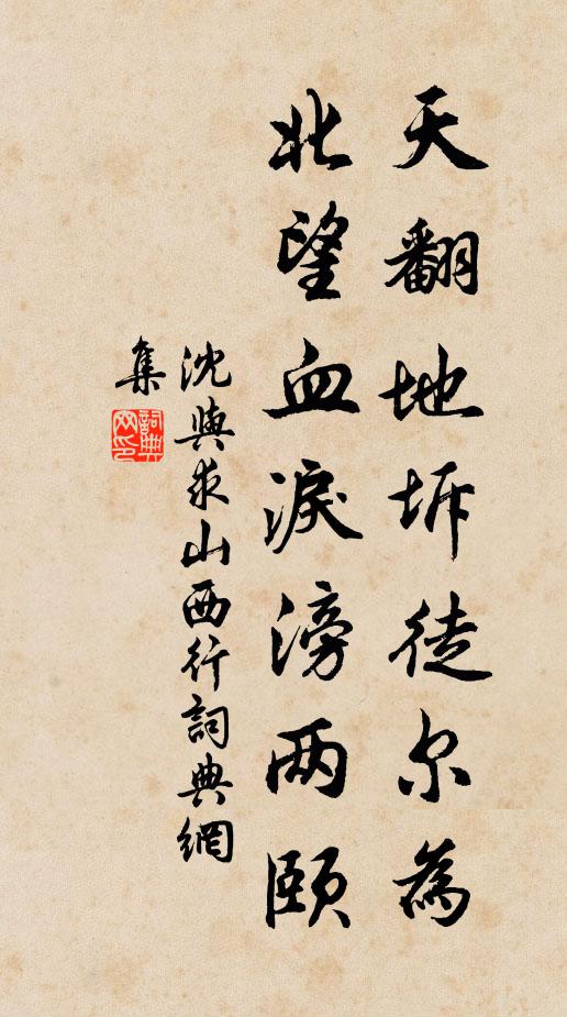 沈与求天翻地坼徒尔为，北望血泪滂两颐书法作品欣赏