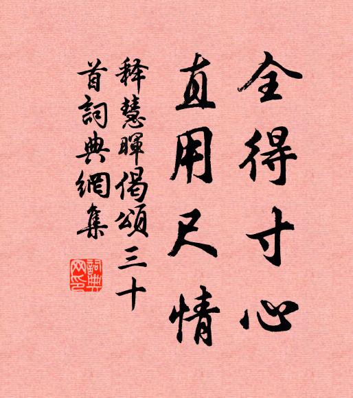 释慧晖全得寸心，直用尺情书法作品欣赏