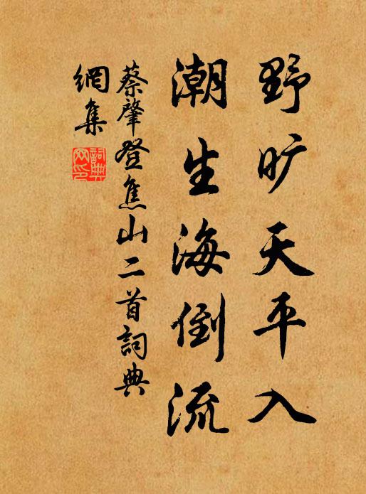 蔡肇野旷天平入，潮生海倒流书法作品欣赏