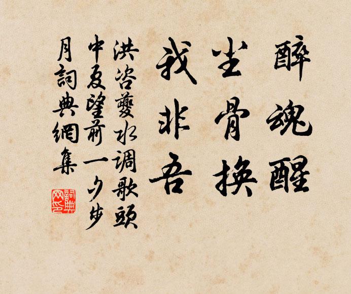 洪咨夔醉魂醒，尘骨换，我非吾书法作品欣赏
