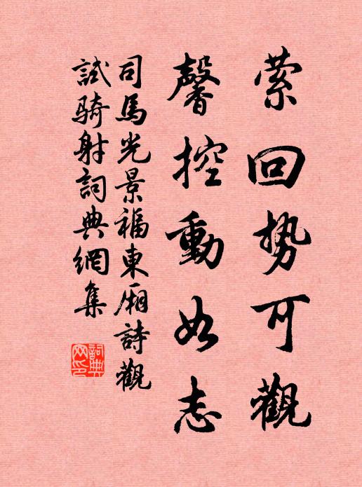 司马光萦回势可观，馨控动如志书法作品欣赏
