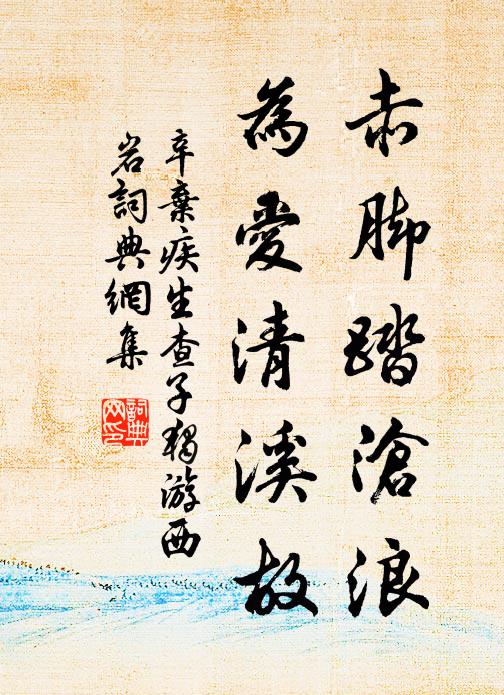 辛弃疾赤脚踏沧浪，为爱清溪故书法作品欣赏