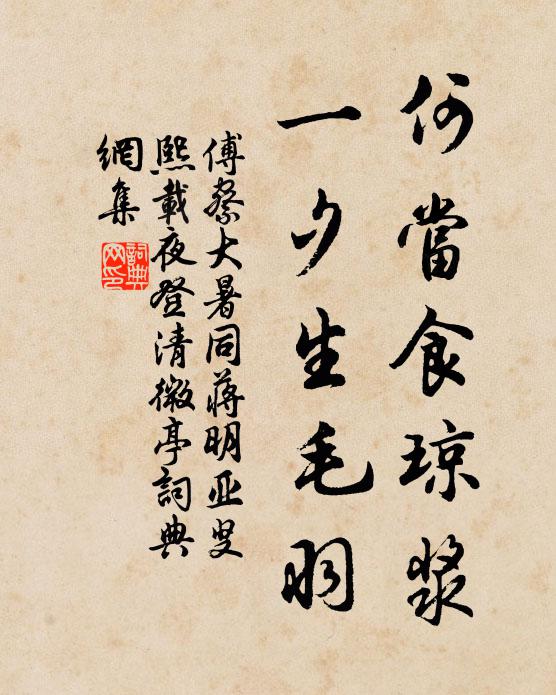 傅察何当食琼浆，一夕生毛羽书法作品欣赏