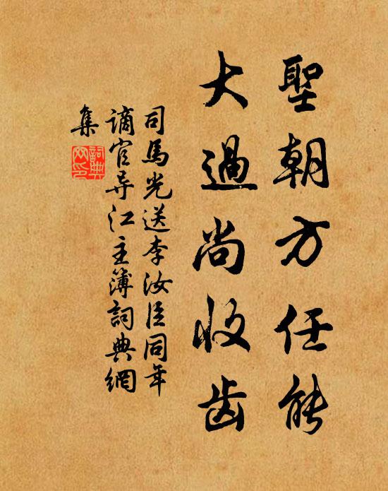司马光圣朝方任能，大过尚收齿书法作品欣赏